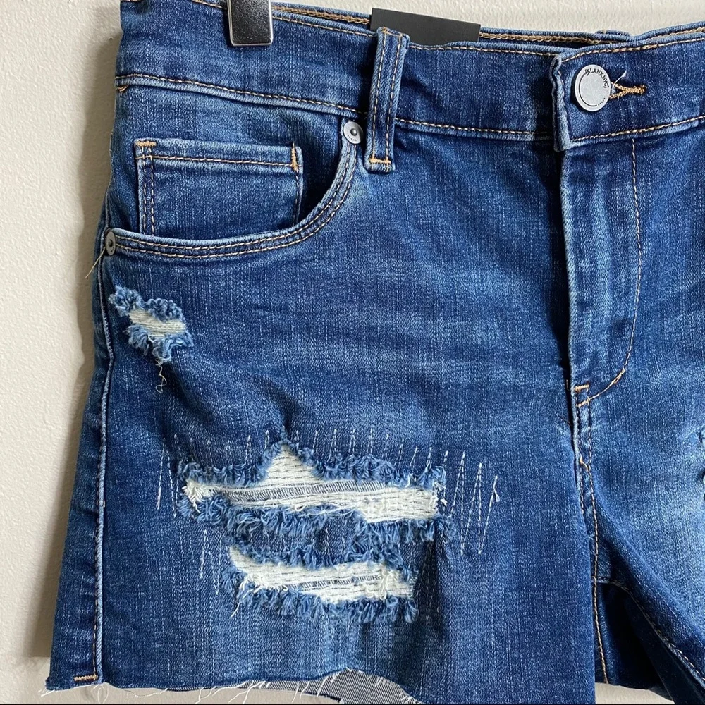 Blank NYC The Essex Rip and Repair Denim Shorts Size 28
